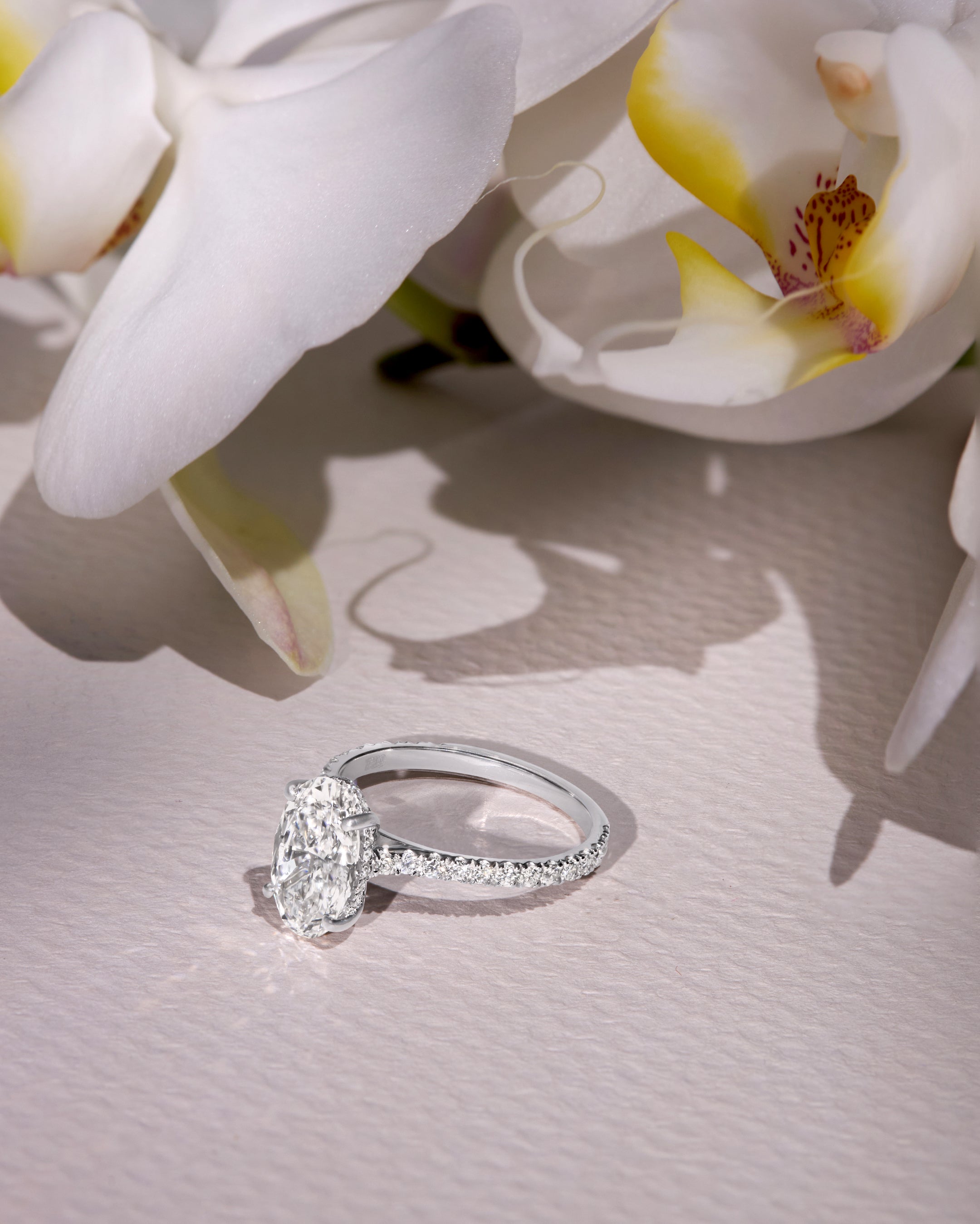 Oval Ring (عشرة عمر) 2 Ct
